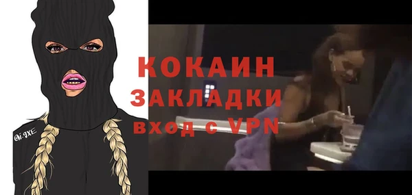 PSILOCYBIN Няндома