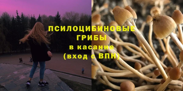 PSILOCYBIN Няндома