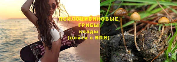 PSILOCYBIN Няндома